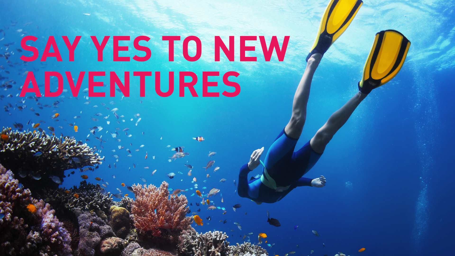 ta-virtual-background-newadventures